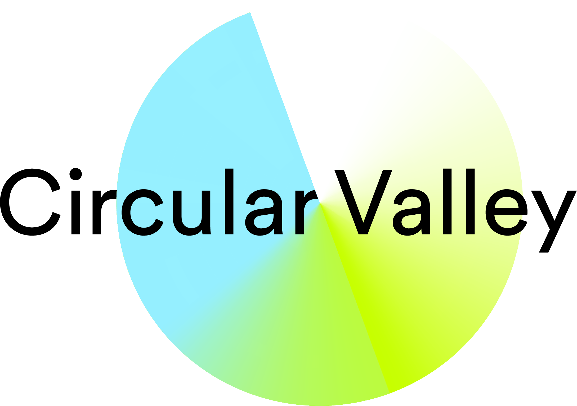 Circular Valley Logo