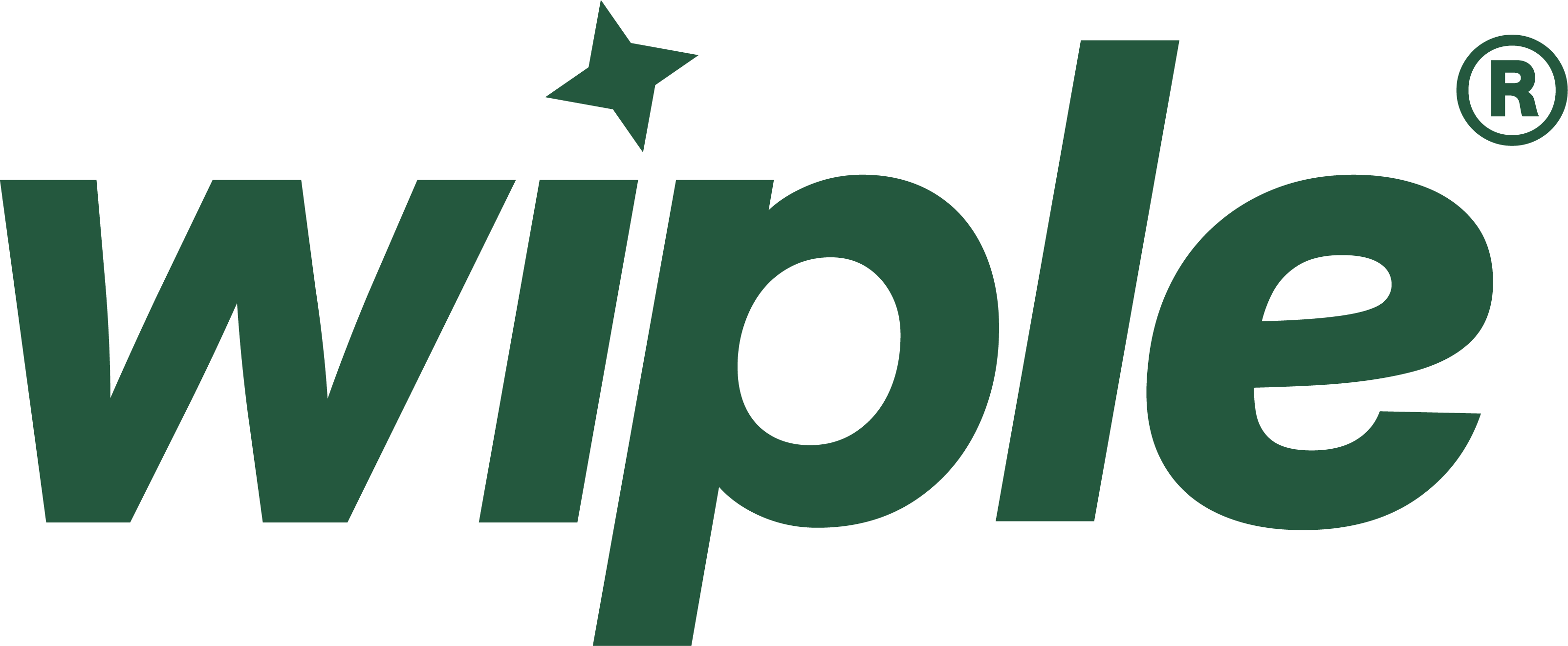 wiple Logo