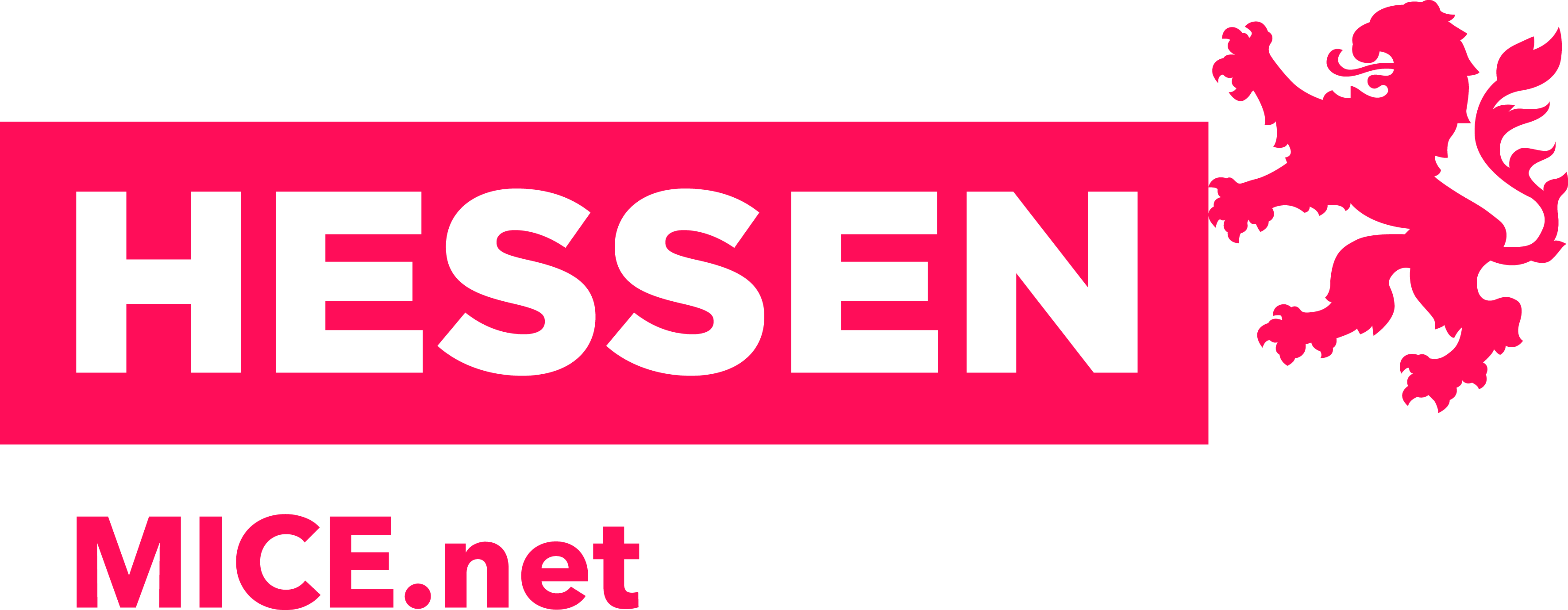 Hessen MICE.net