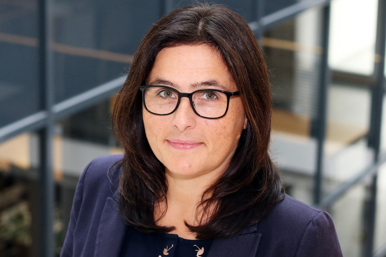 Bild der im Text angegebenen Kontaktperson