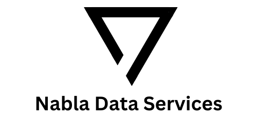 Nabla Data Services  Logo
