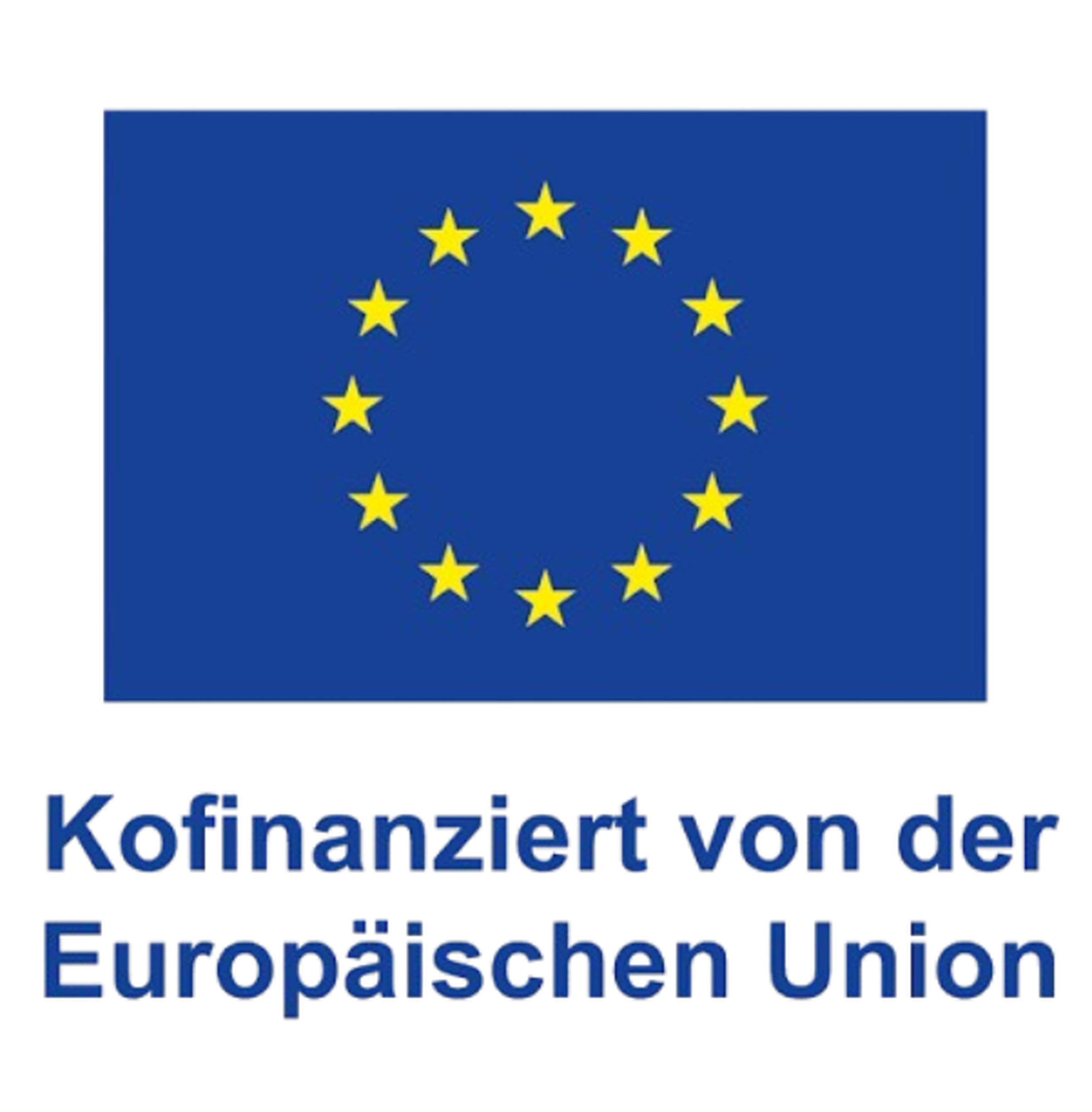 Förderprogramm der Europäischen Union  Logo