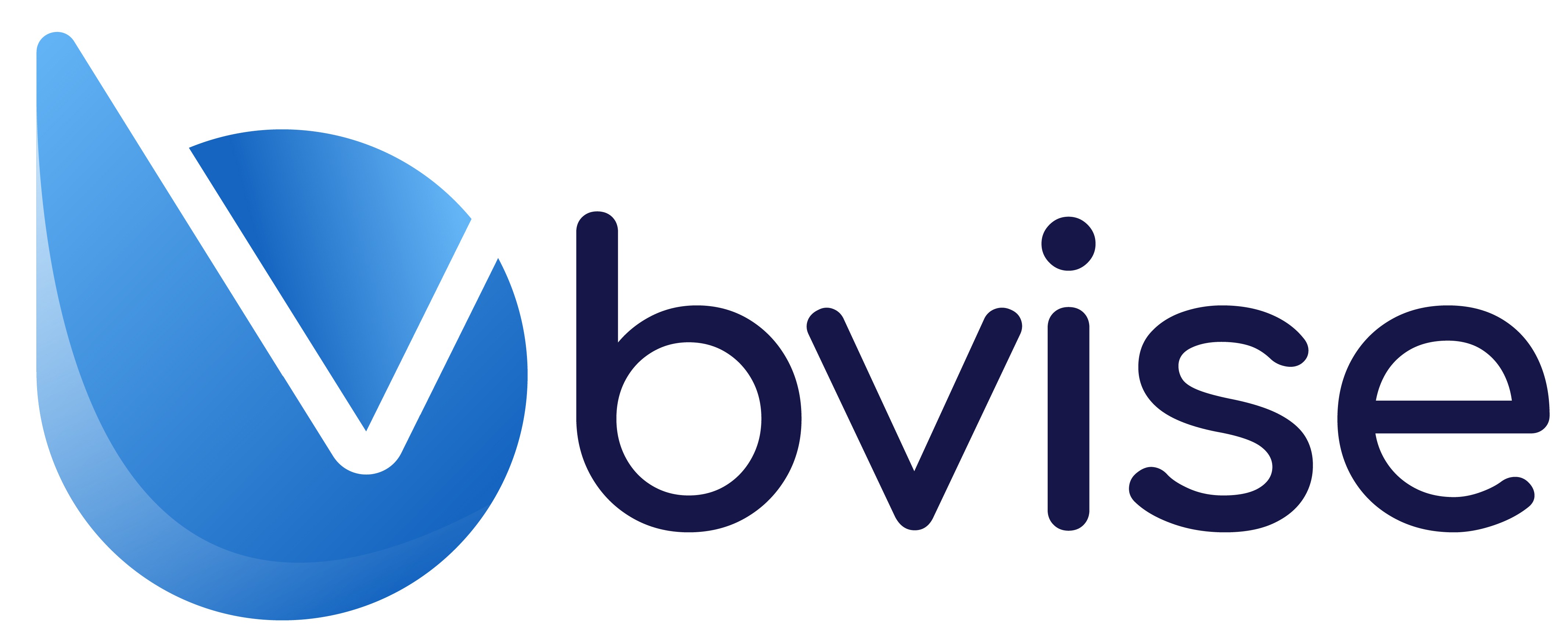bvise GmbH Logo