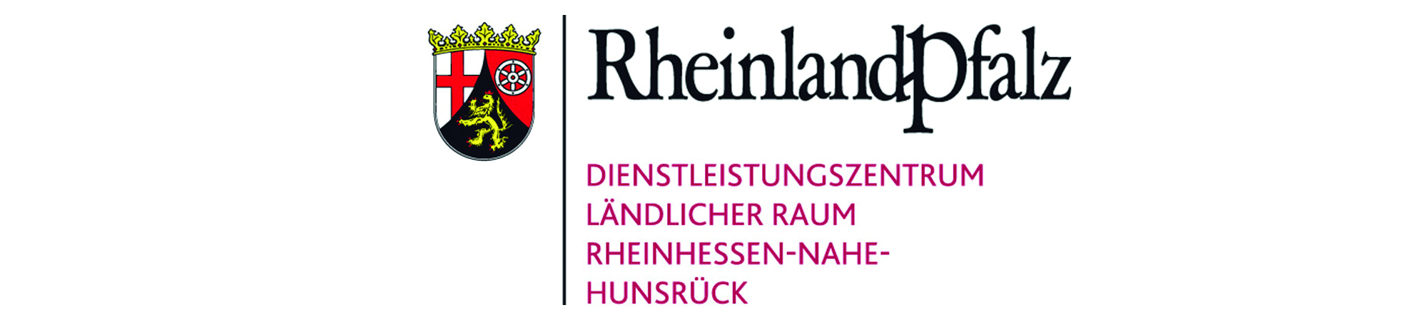 DLR Logo