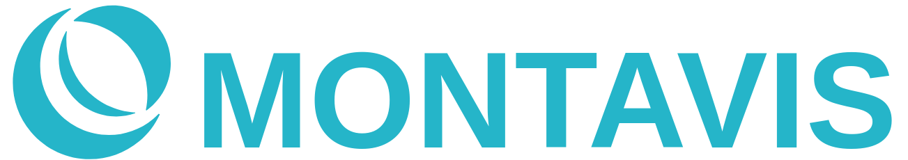 MontaVis Logo