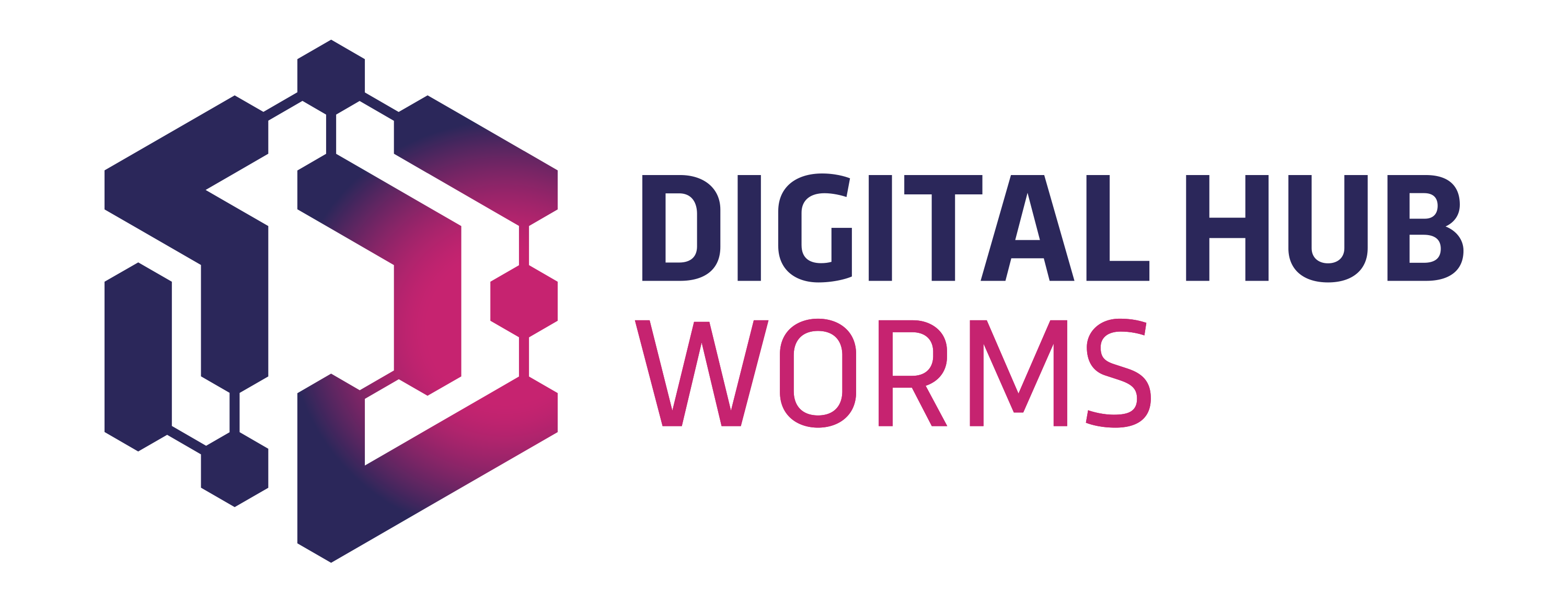 Digital Hub Worms Logo