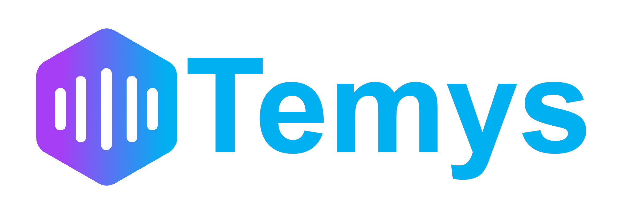 Temys groß Logo