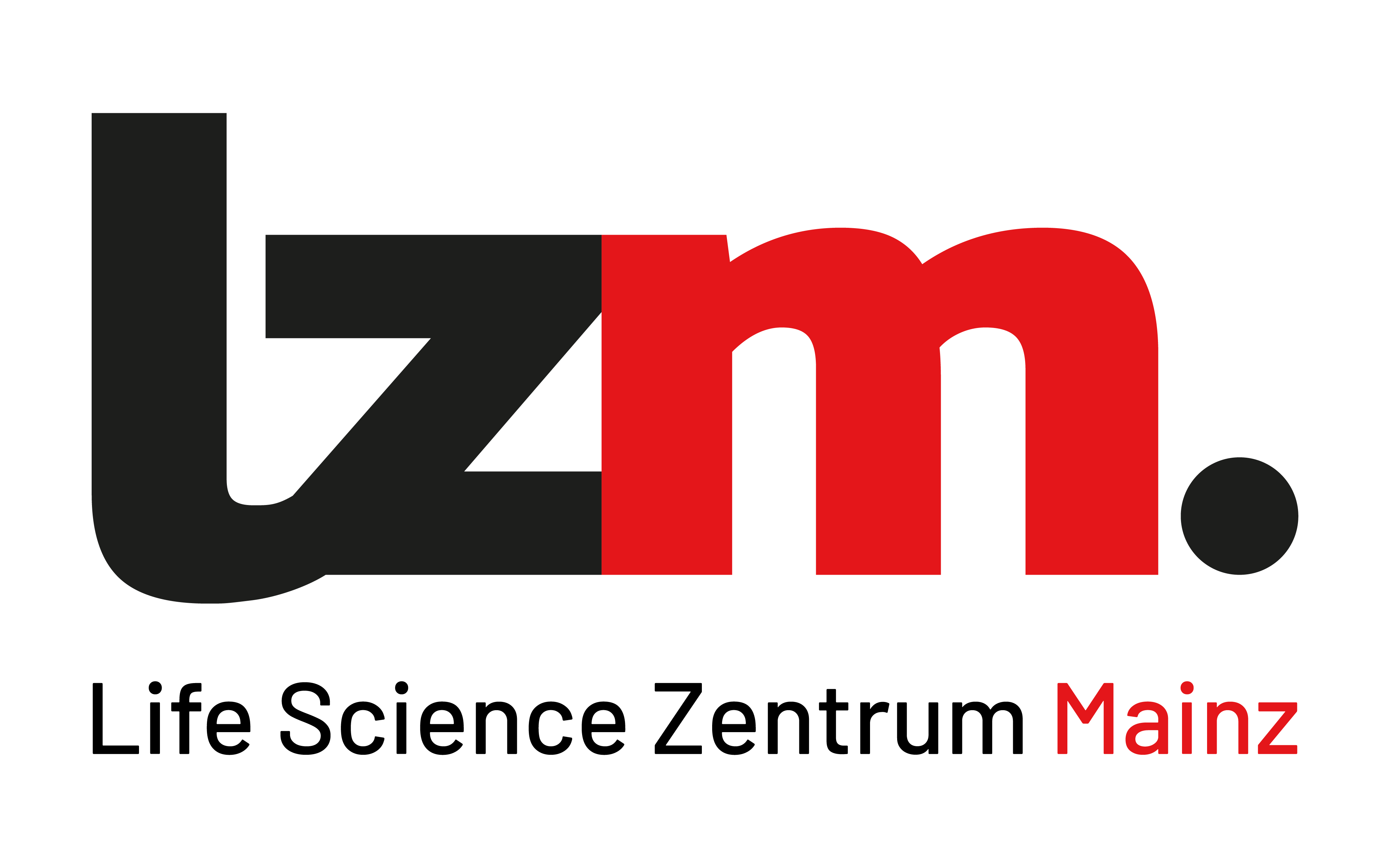 LZM Logo