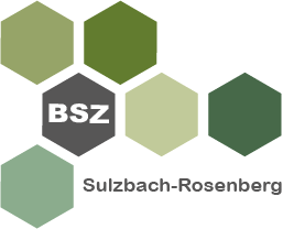 Berufsschule Sulzbach-Rosenberg Logo